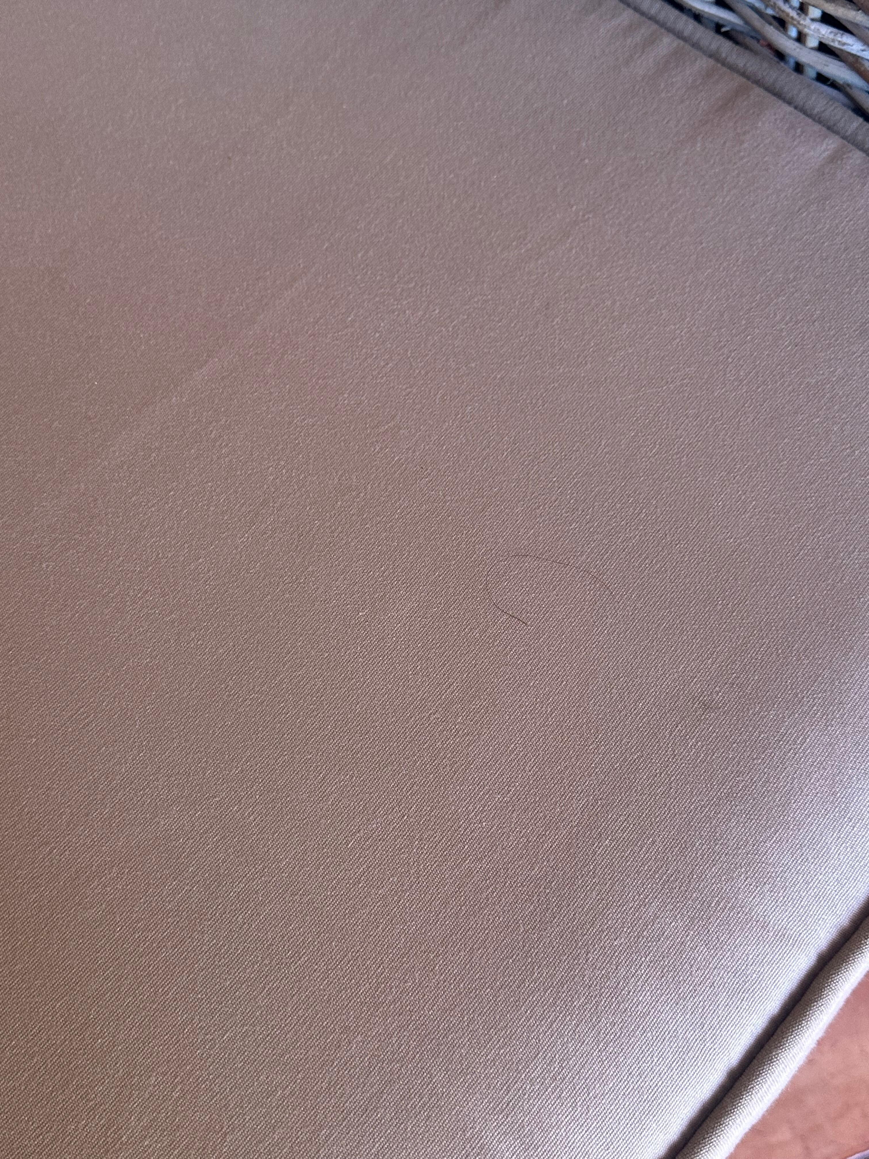 Hair on the chair when we arrived 