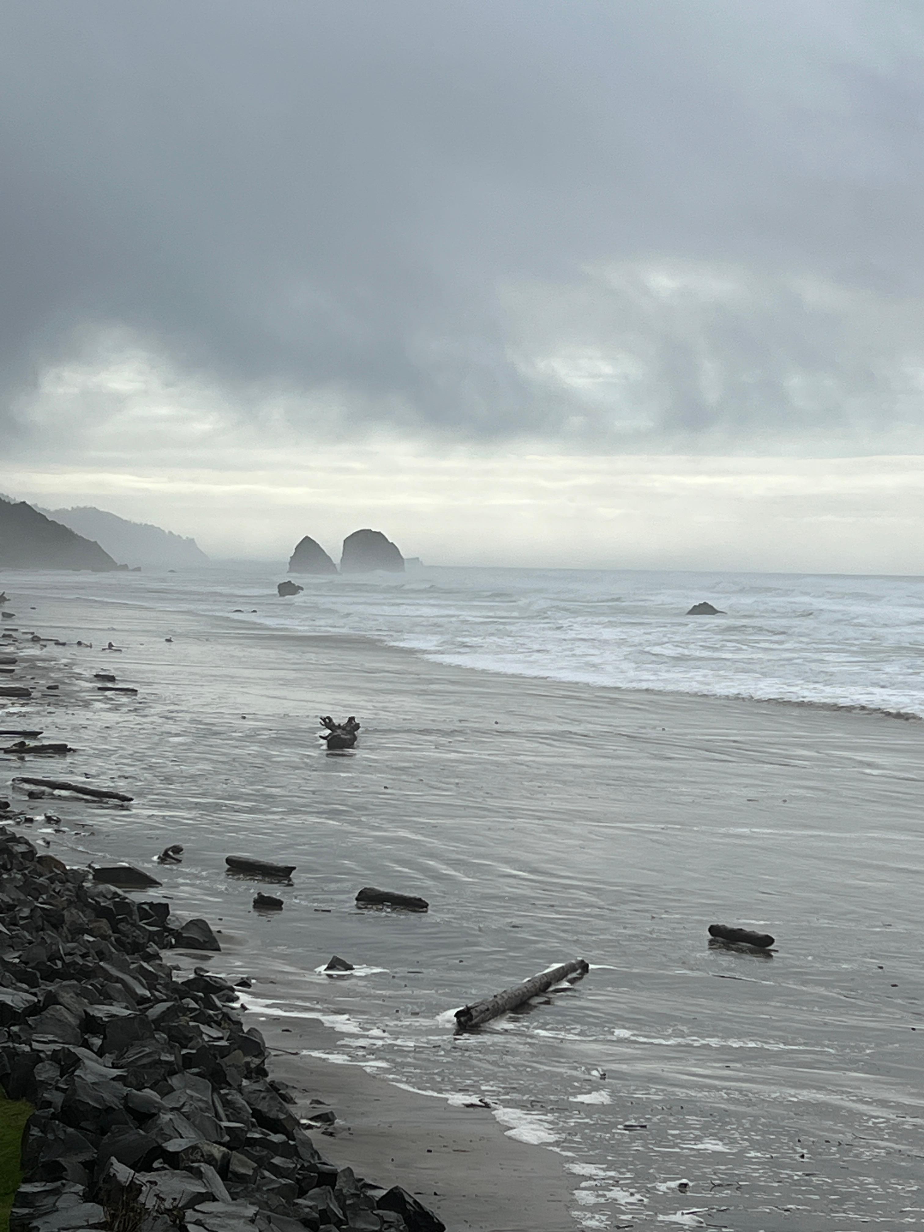 View South
December 2025