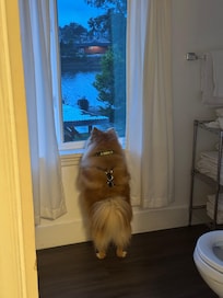 No water view from kitchen. This is from the bathroom upstairs.