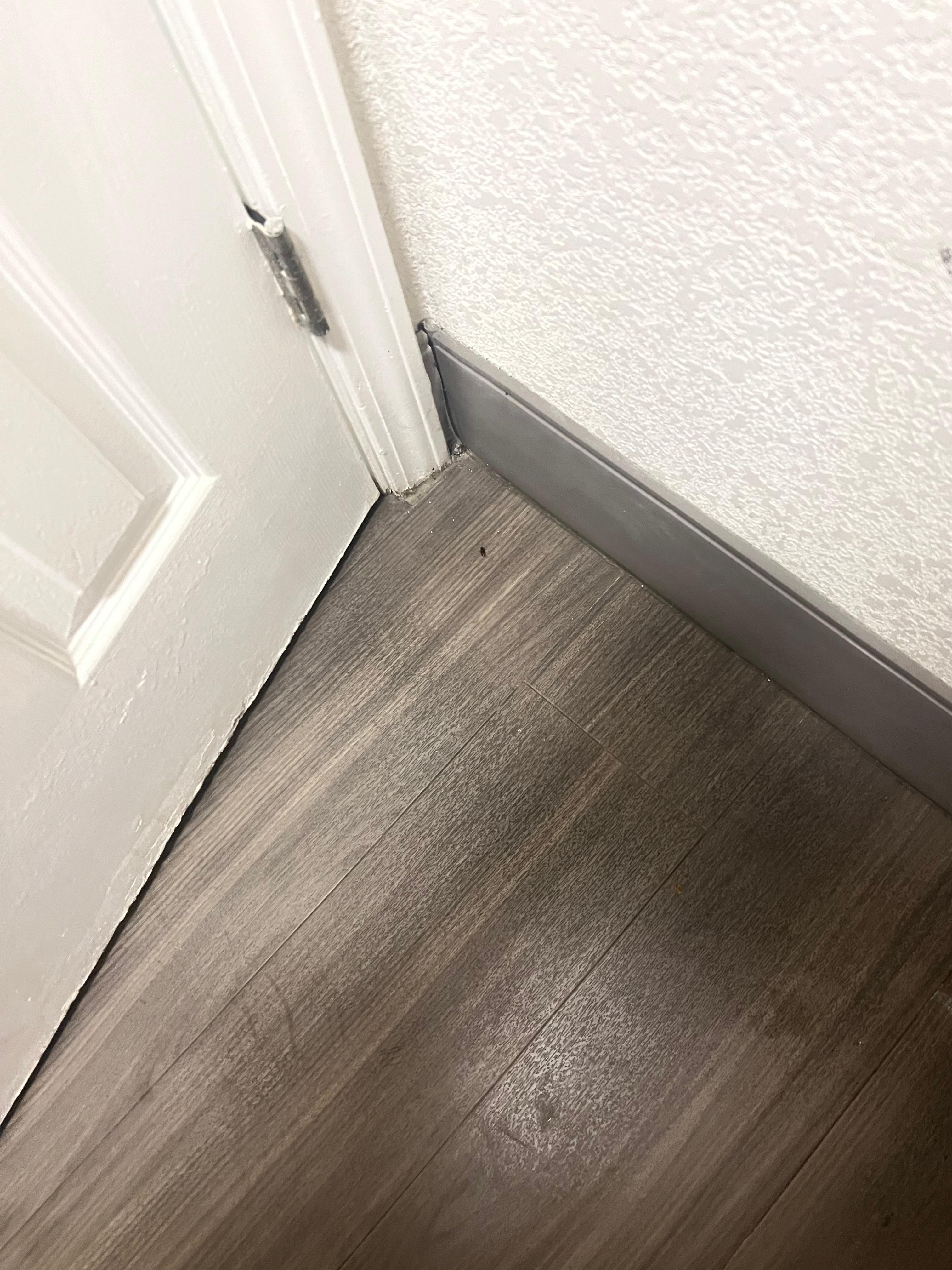 Filthy bathroom floor