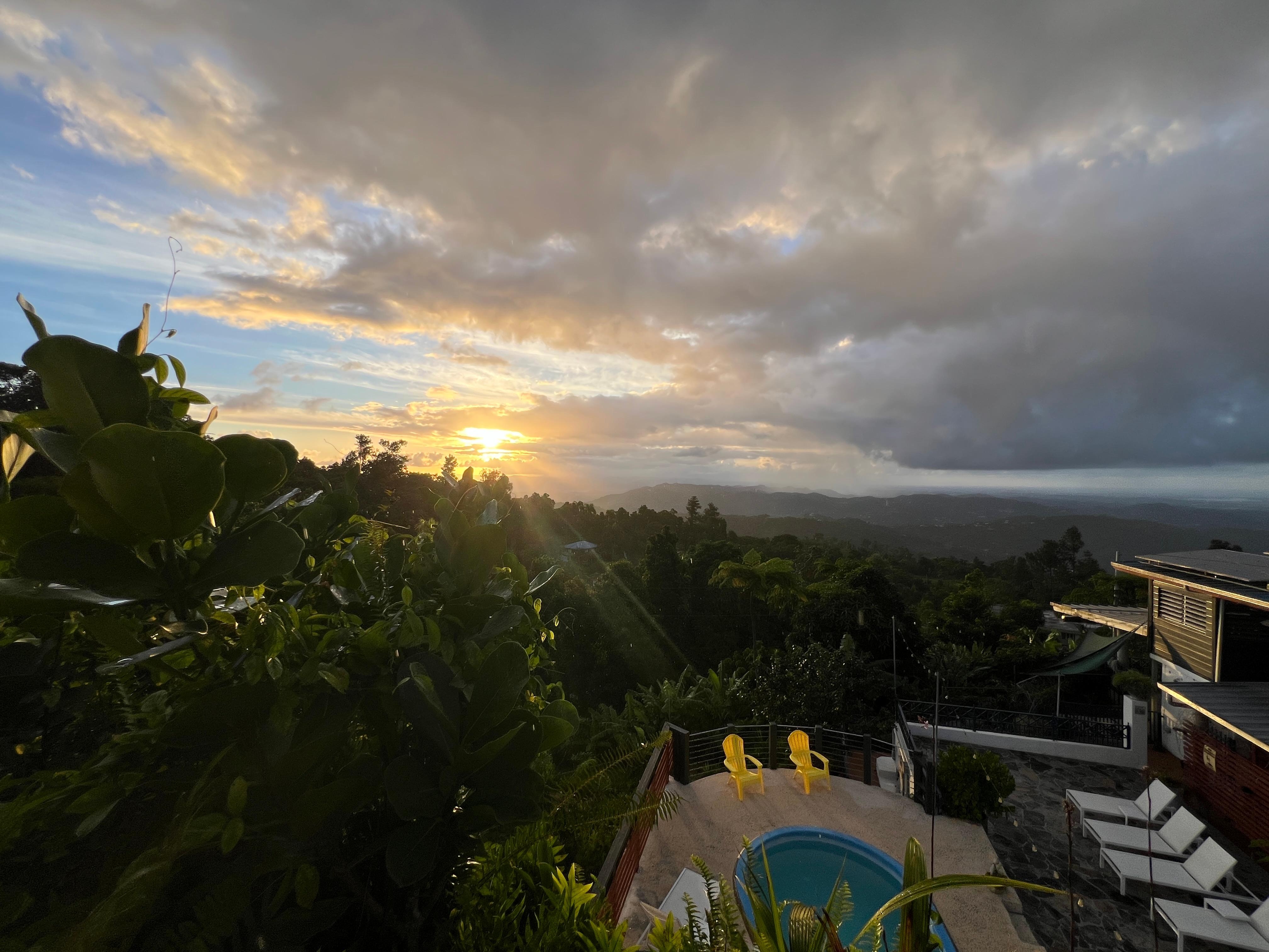 View from the terrace.
