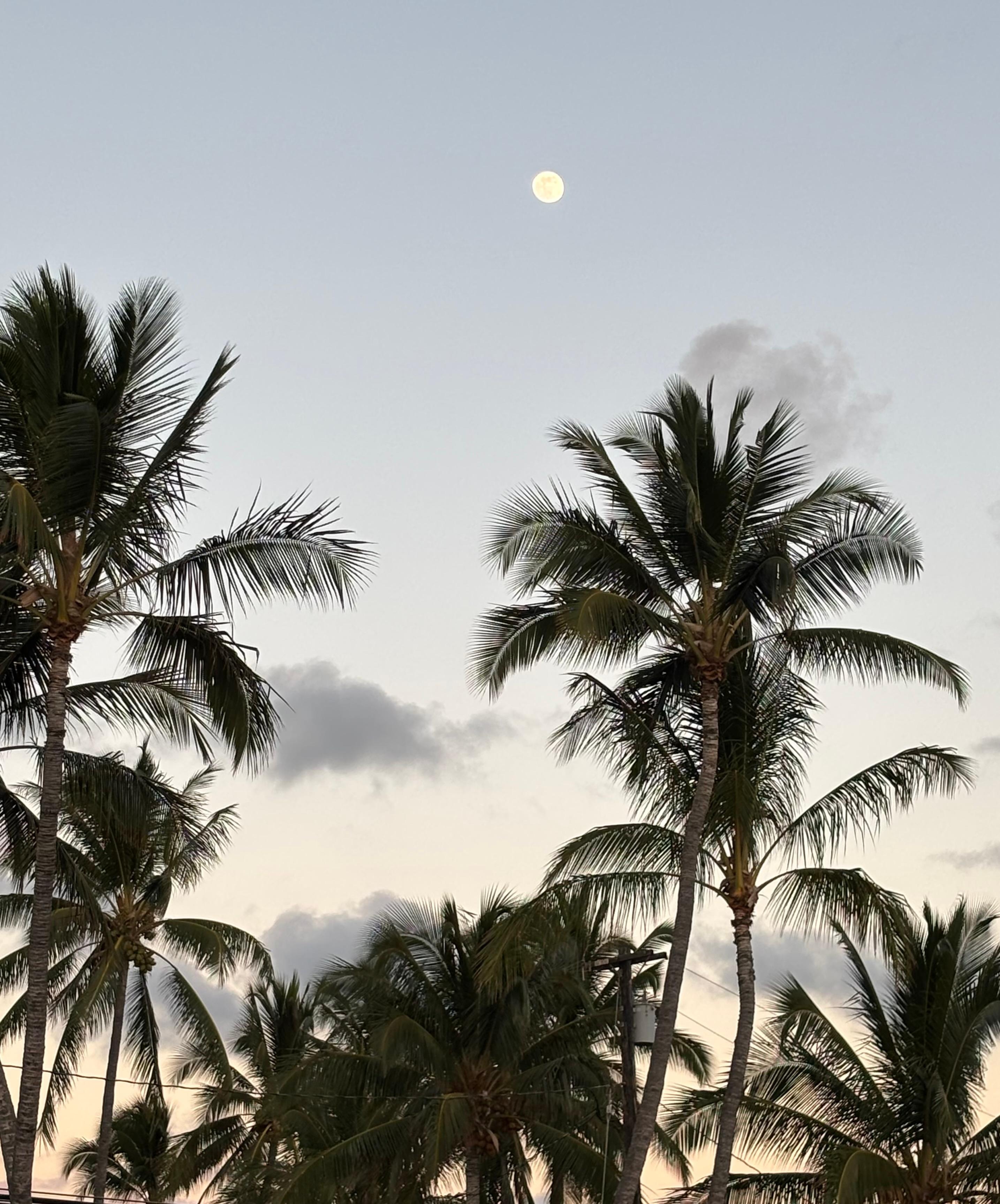 The moon on a sunny day 

