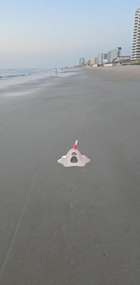 Ghost type pokemon seen on beach