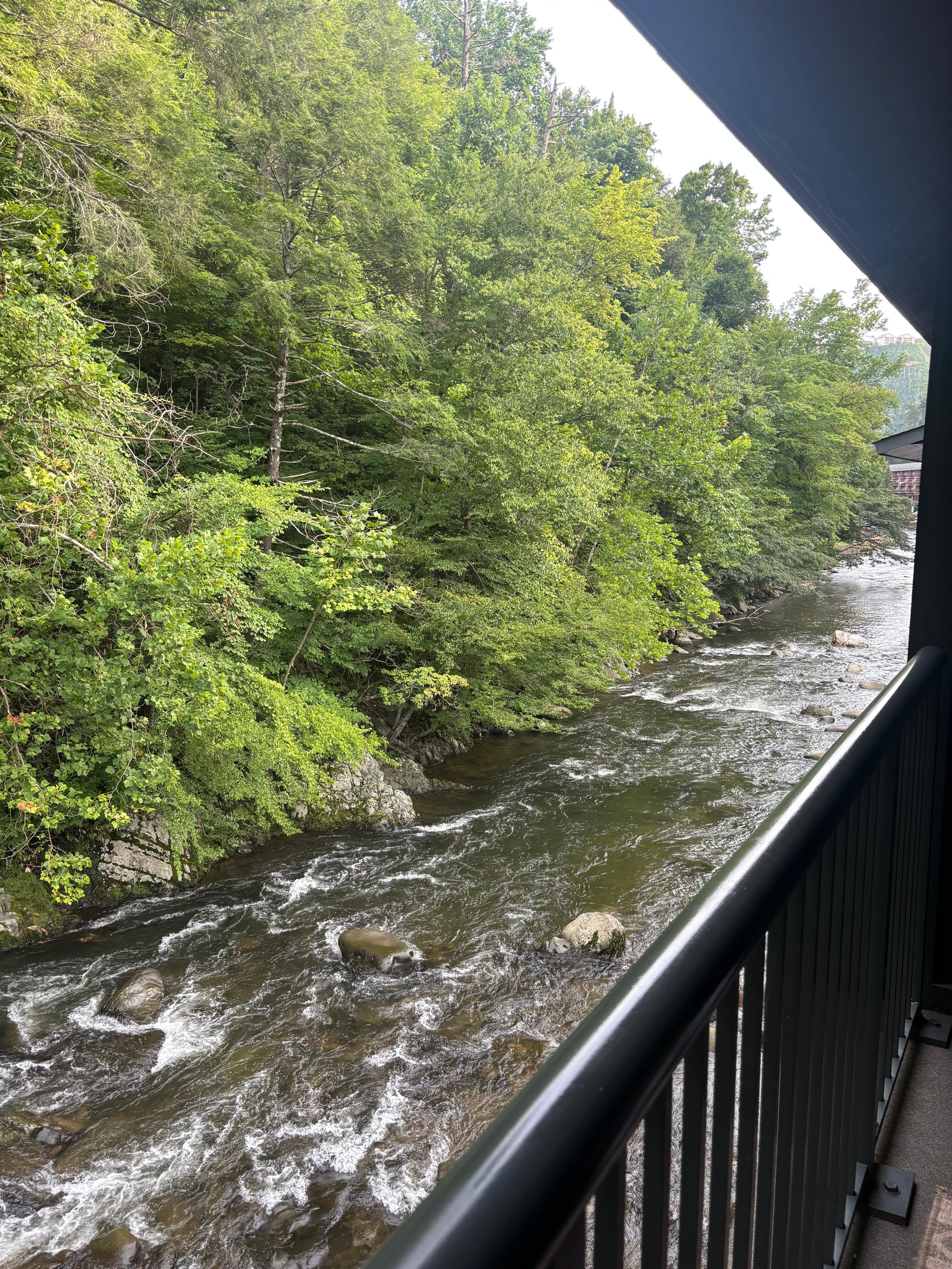 View from room 224