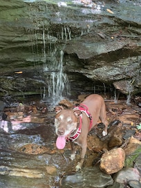 One of the trails/falls on property
