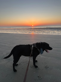 Layla is enjoying sunrise at the beach