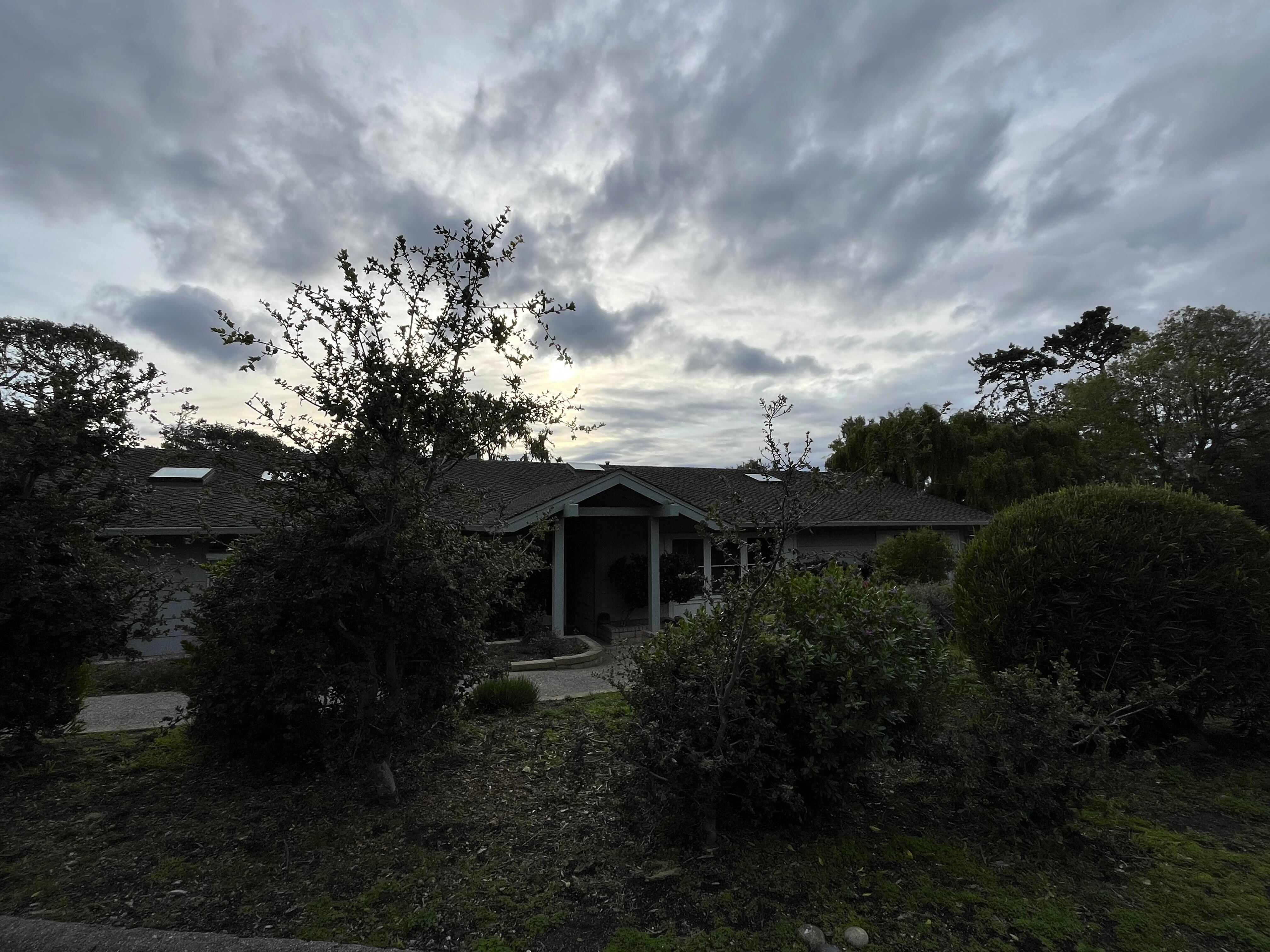 Views from walks from the house 