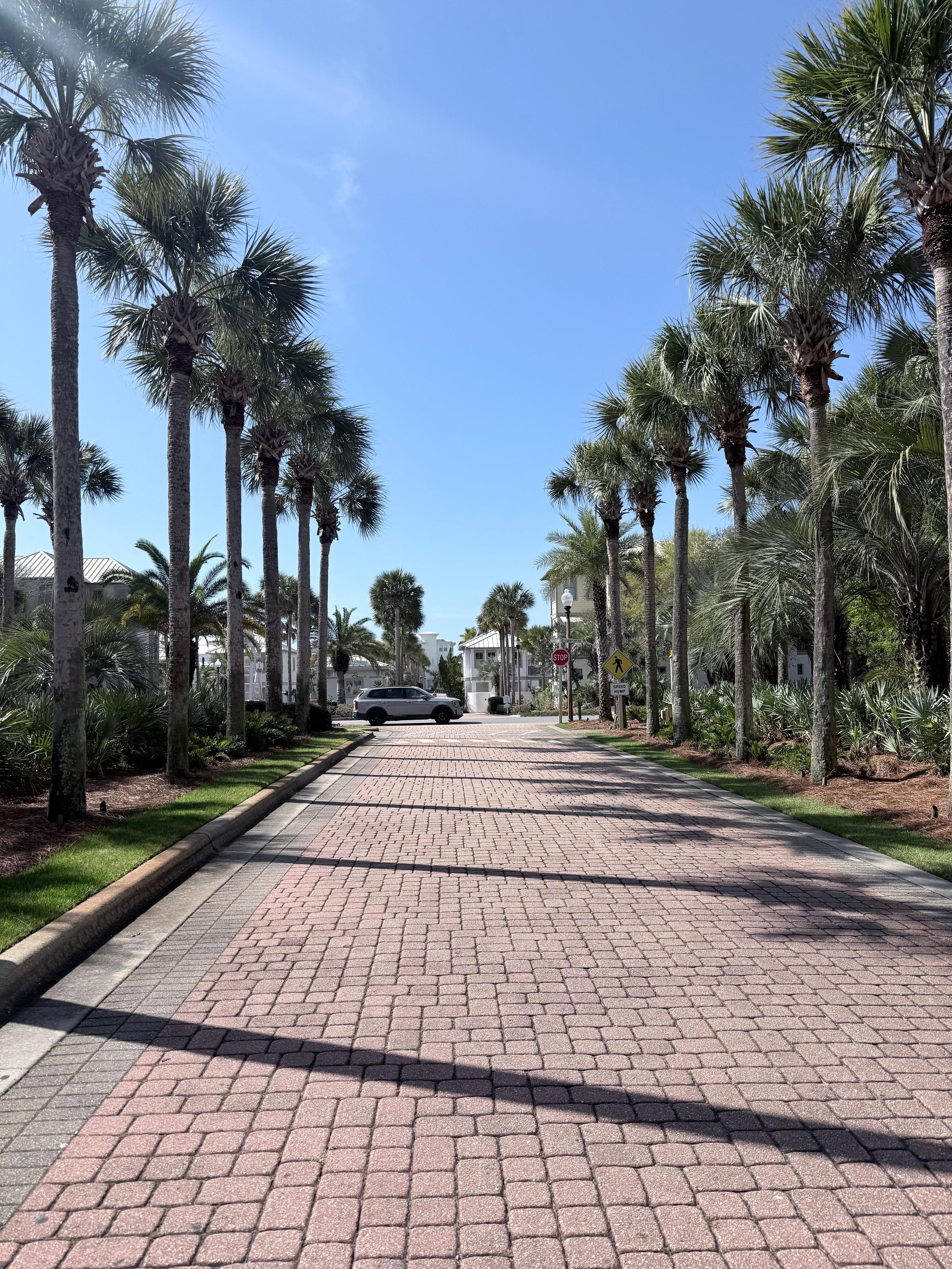 Drive heading out of our street. 