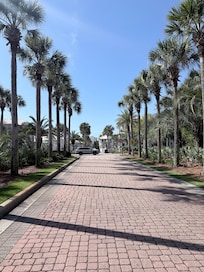 Drive heading out of our street.