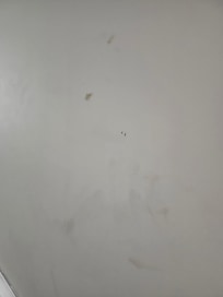 Walls