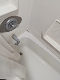 Mold or mildew in tub
