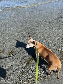 Enjoying the beach!