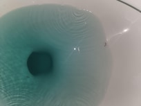 Blood worms in the toilet.