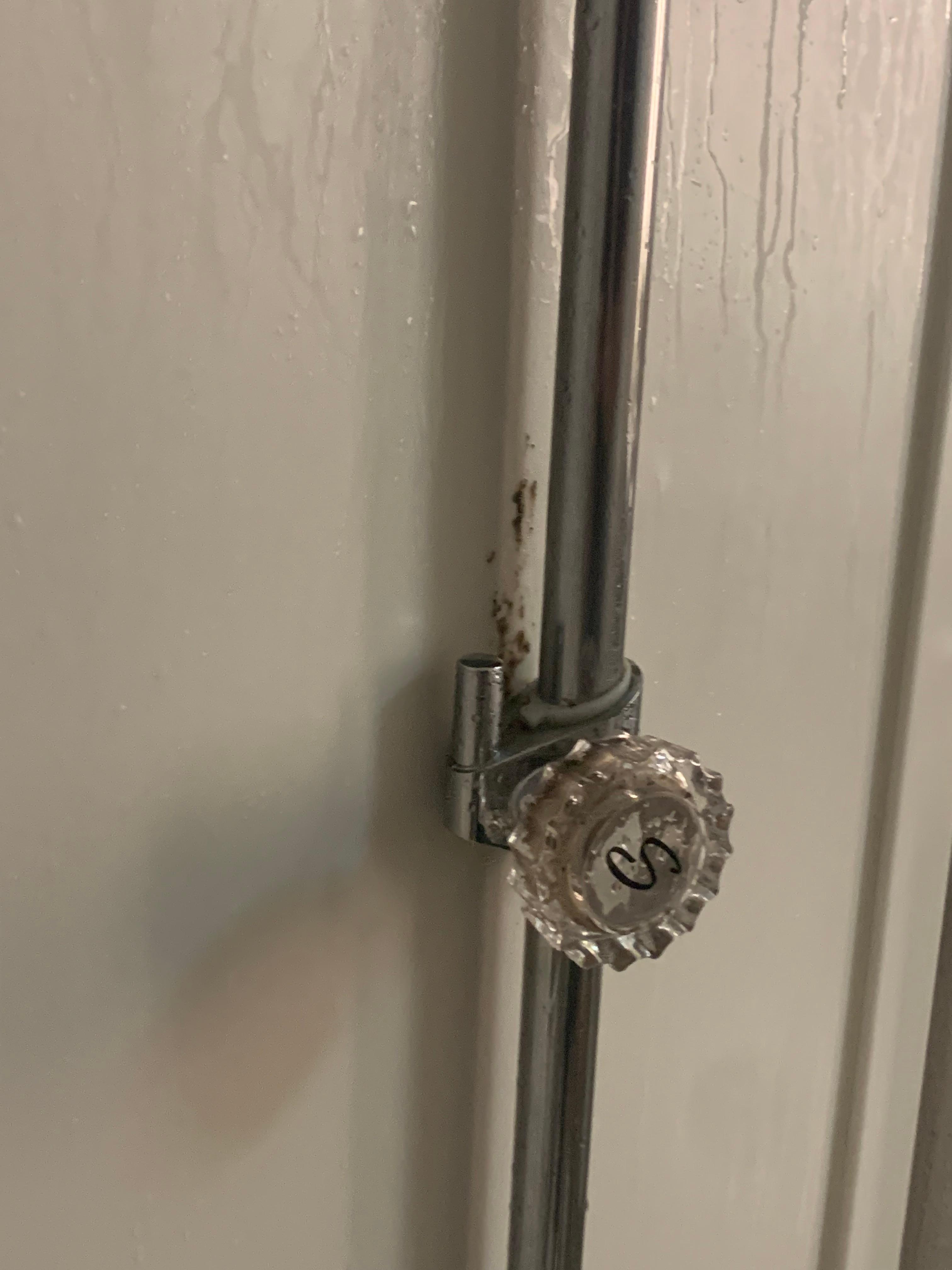 Inside tub with mildew behind handheld shower pipe.