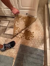 Master Bath Rug