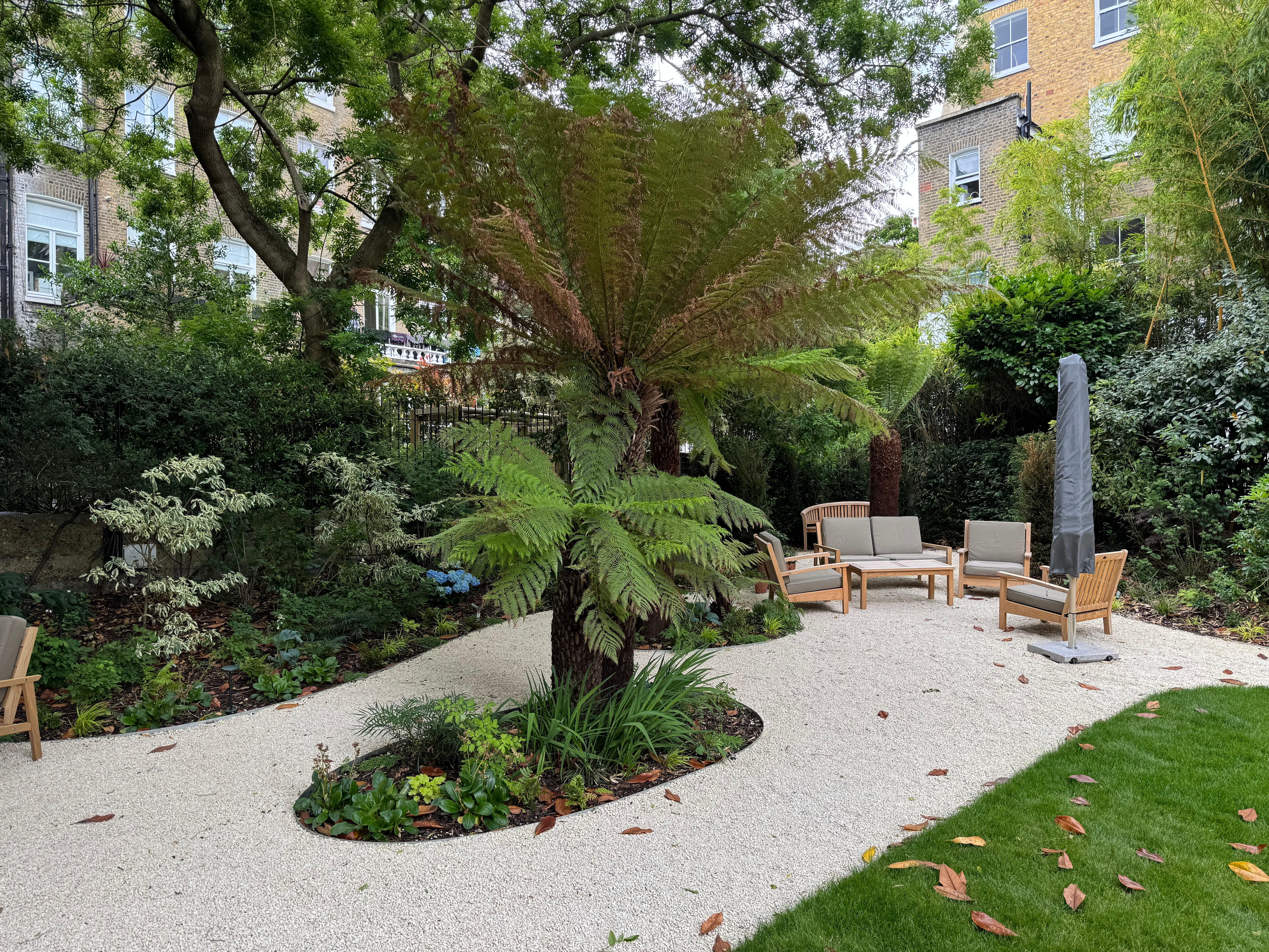 Back garden