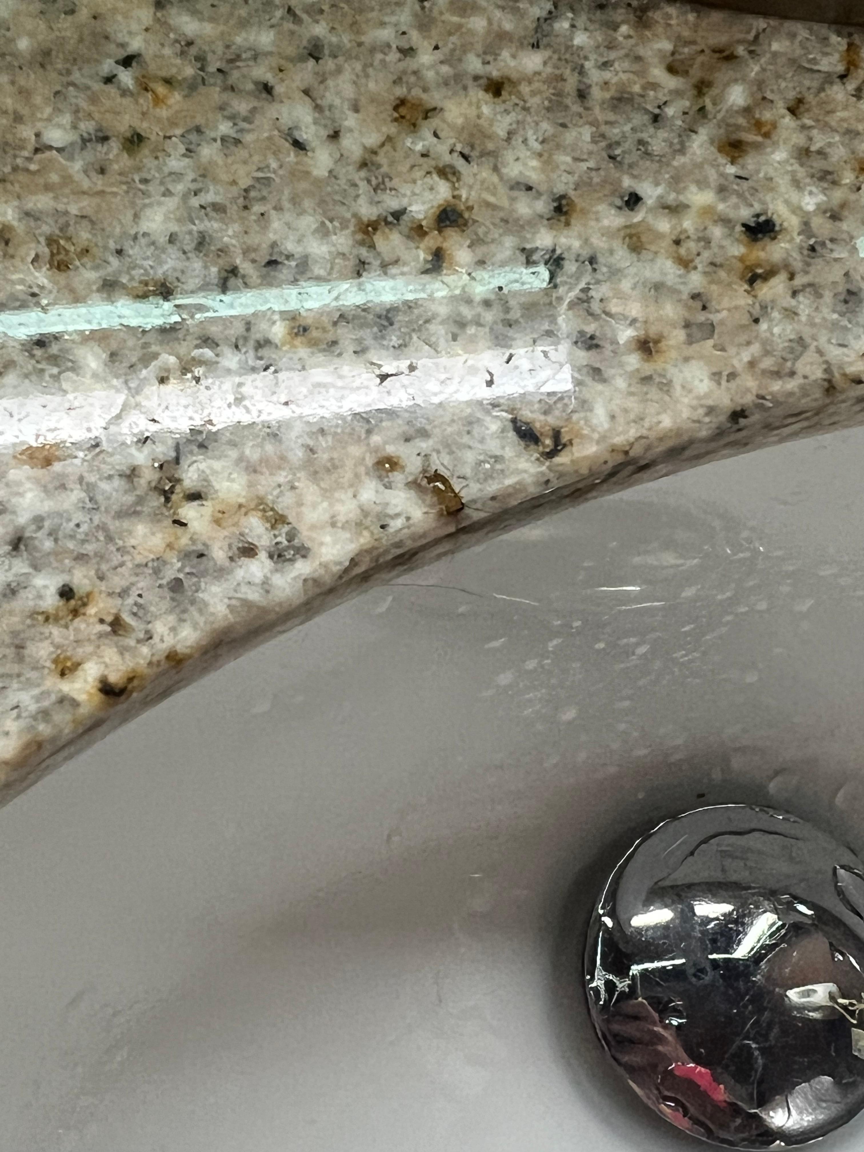 Bug on edge of sink, killed at least 3 within an hour of this