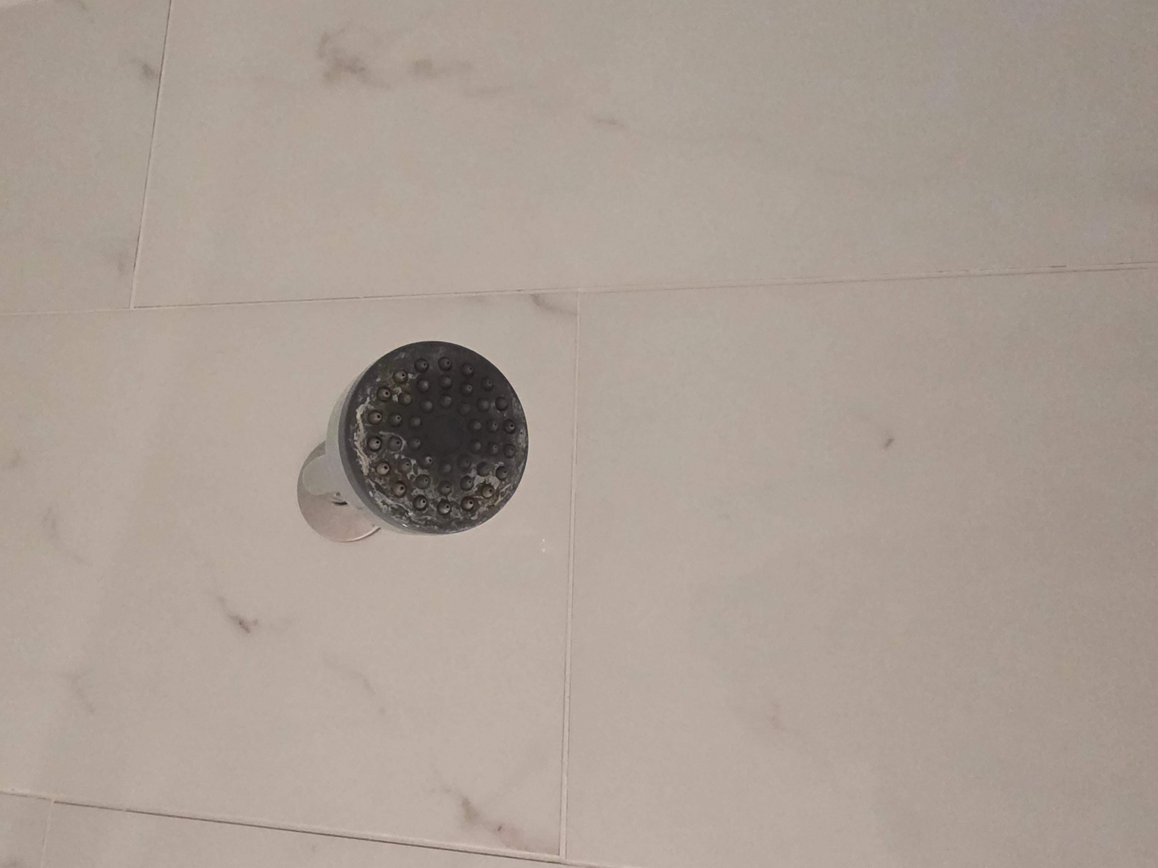 Shower head just disgusting 