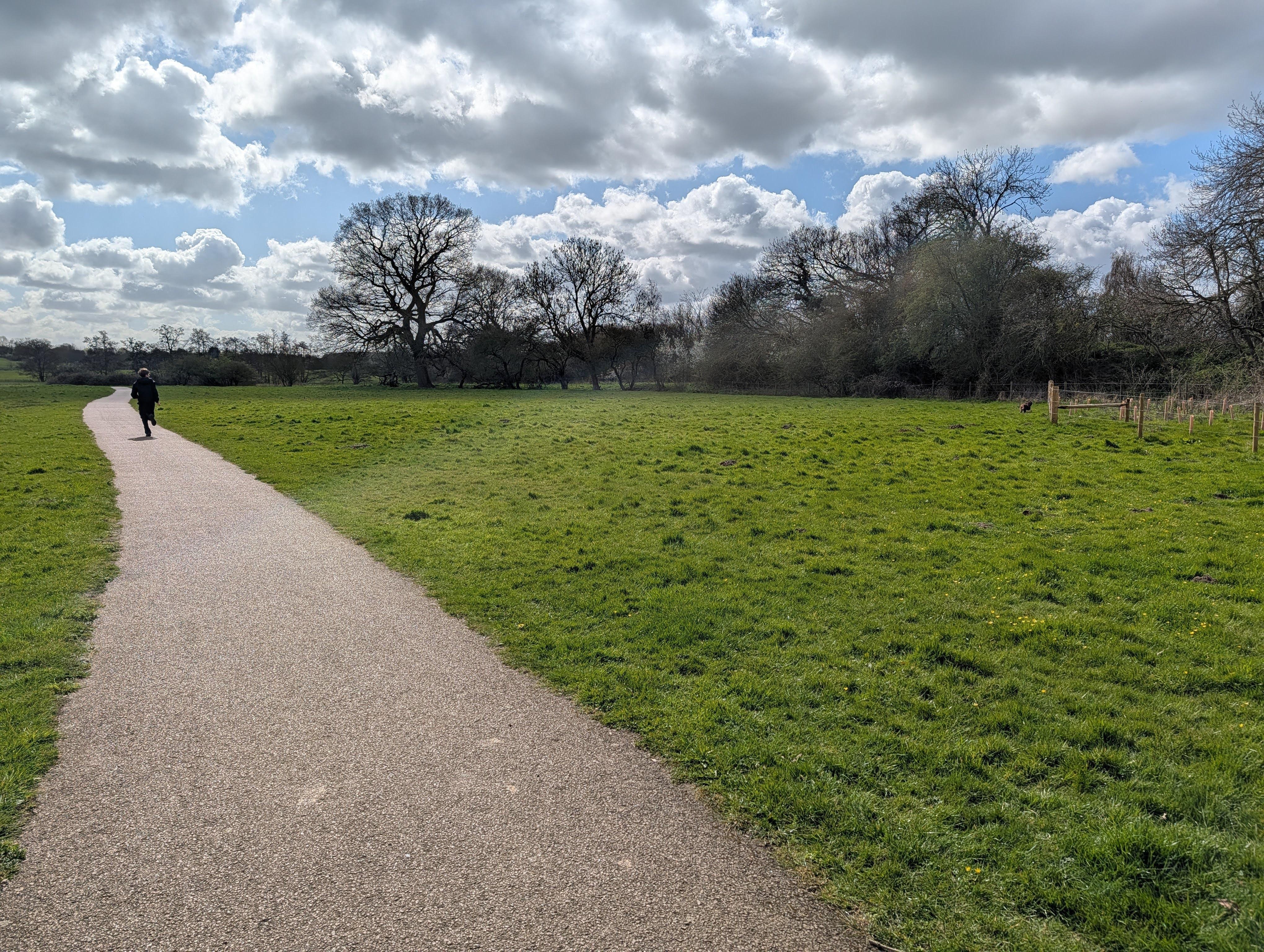 Local walk in Halesworth 