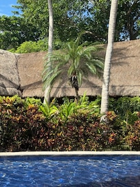Breakfast buffet view