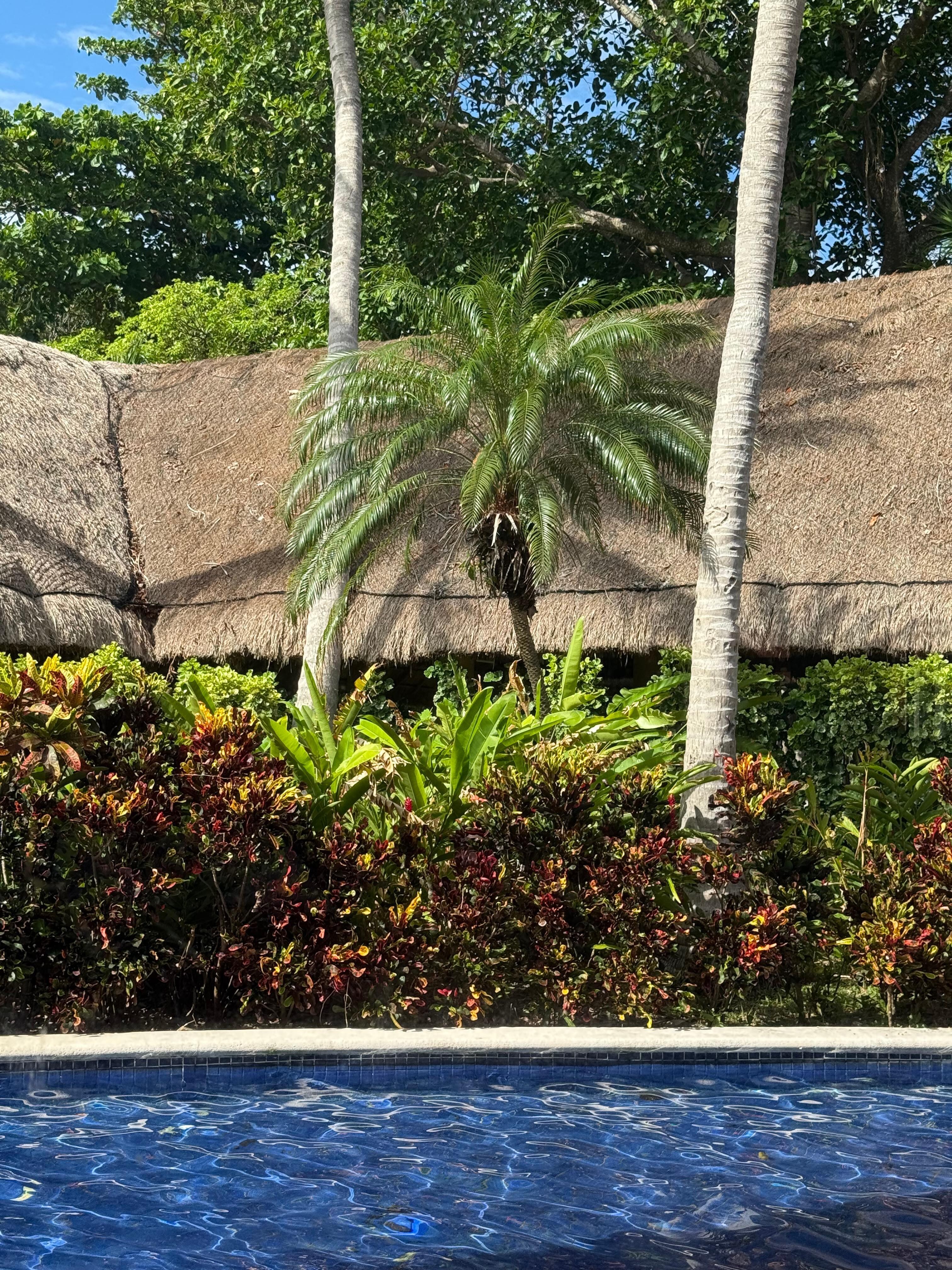 Breakfast buffet view