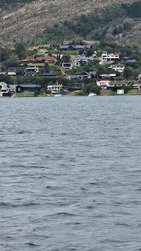Acacia bay