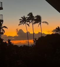 Picture taken while dining on the lanai