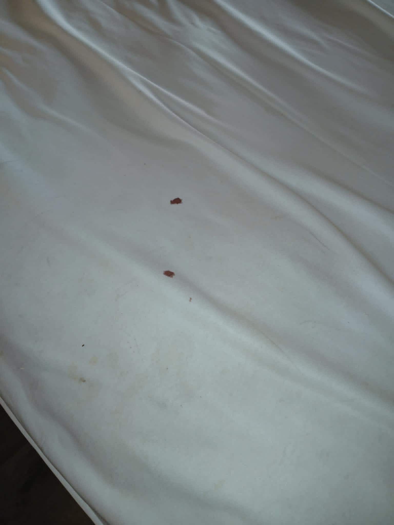 Blood spots on another area of mattress cover.