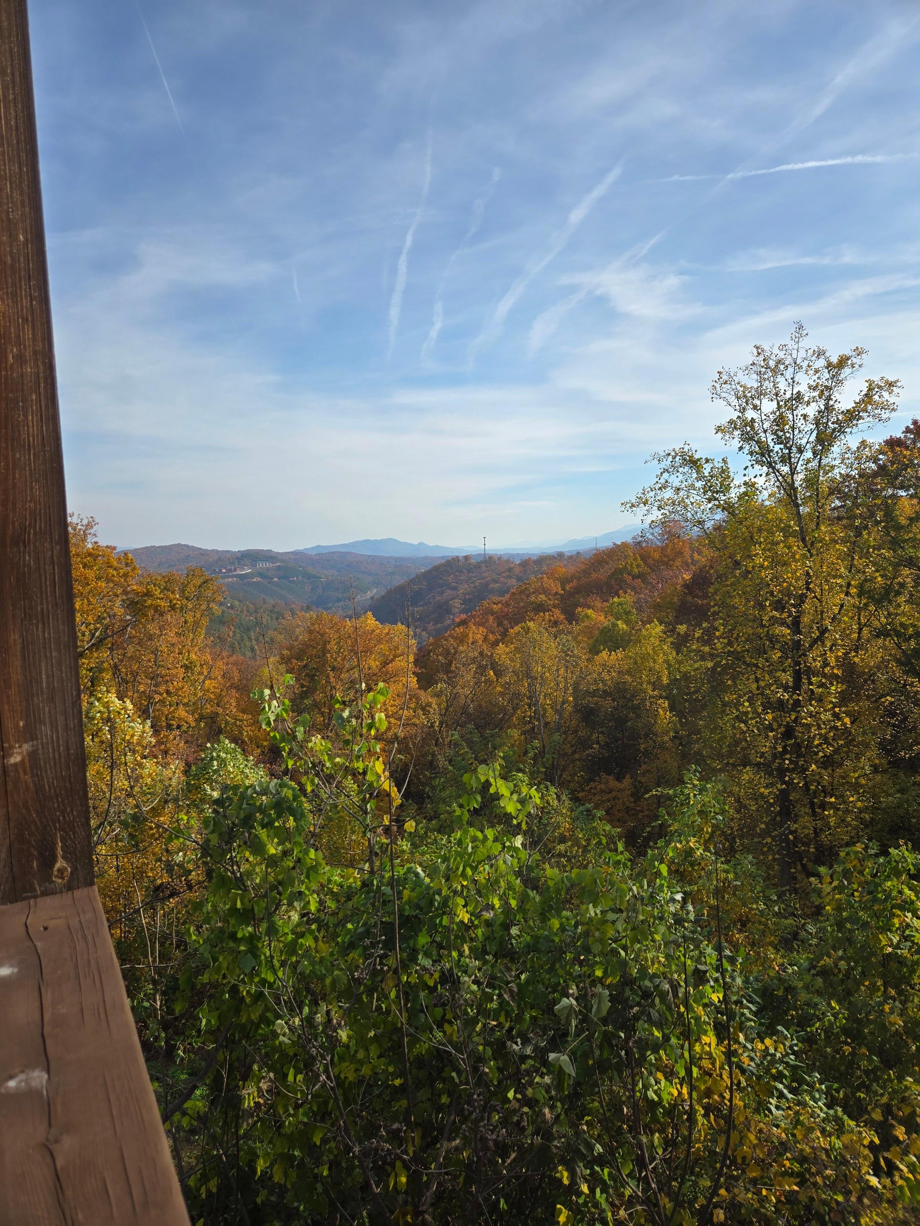 Morning views at its finest 