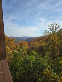 Morning views at its finest