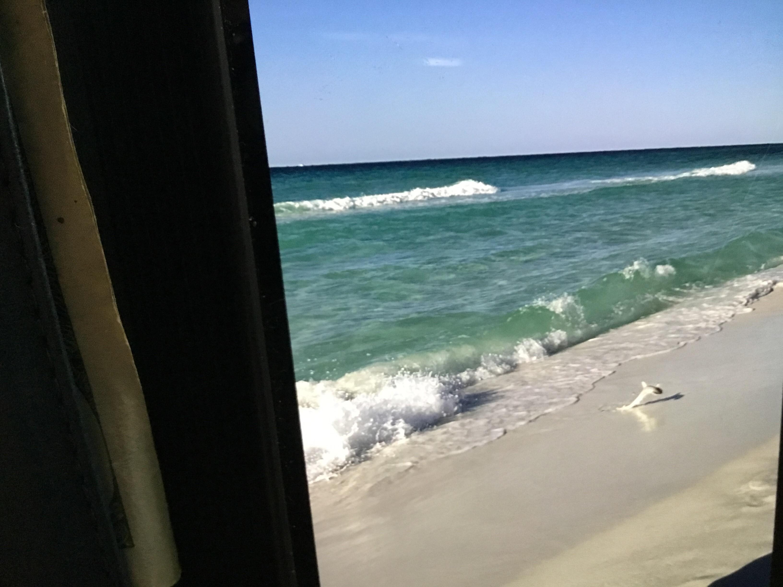 Shark caught by another guest and released