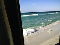 Shark caught by another guest and released