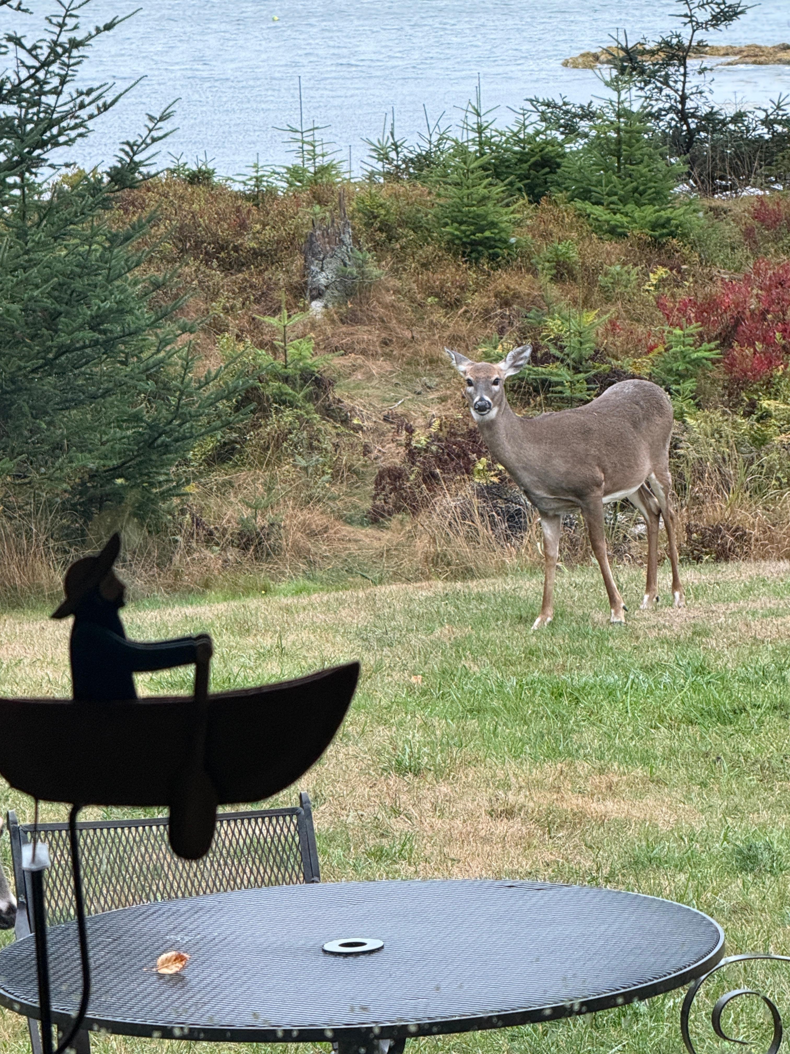 Mom watched us for a while 