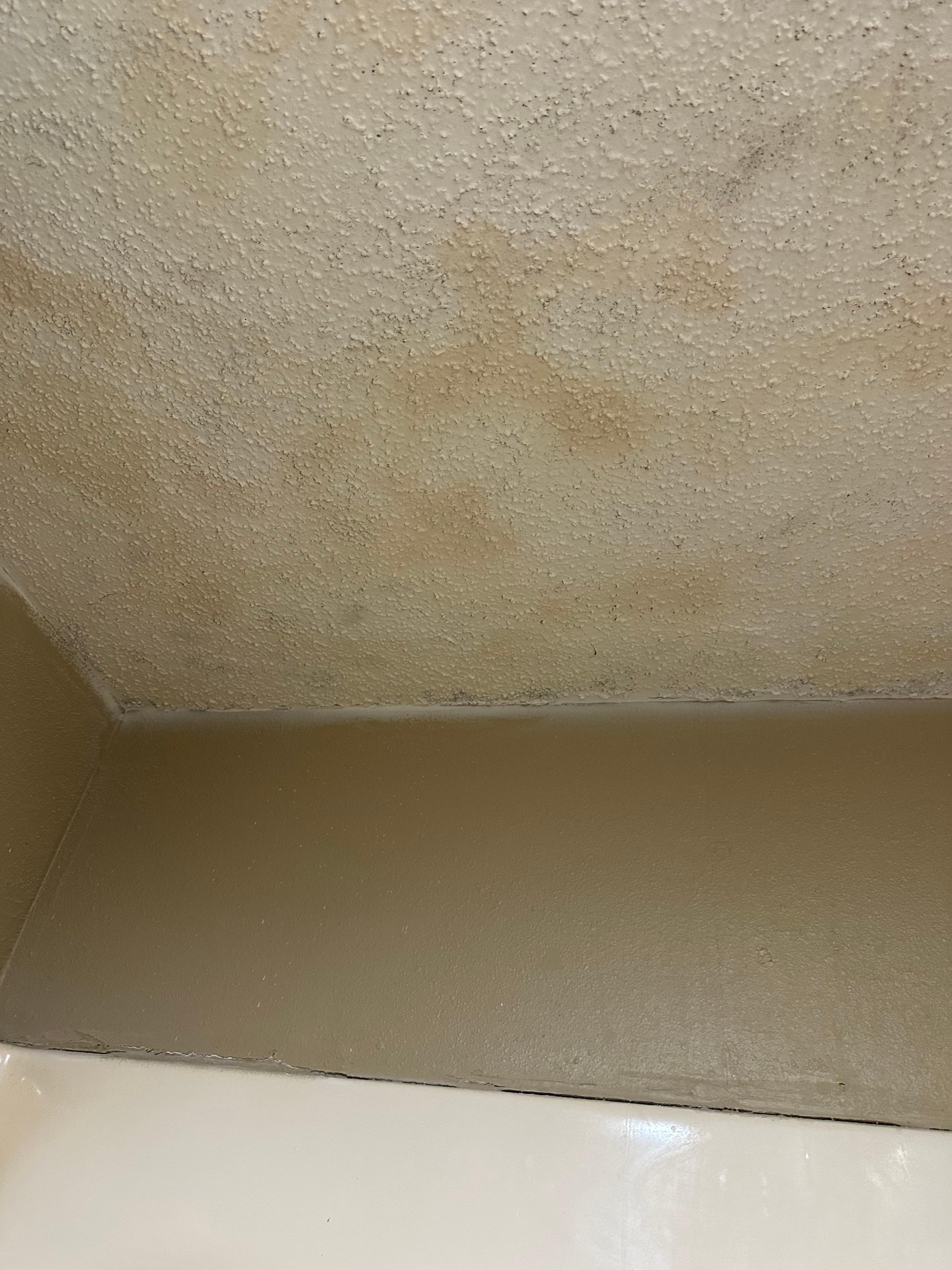 Ceiling stained and molding 