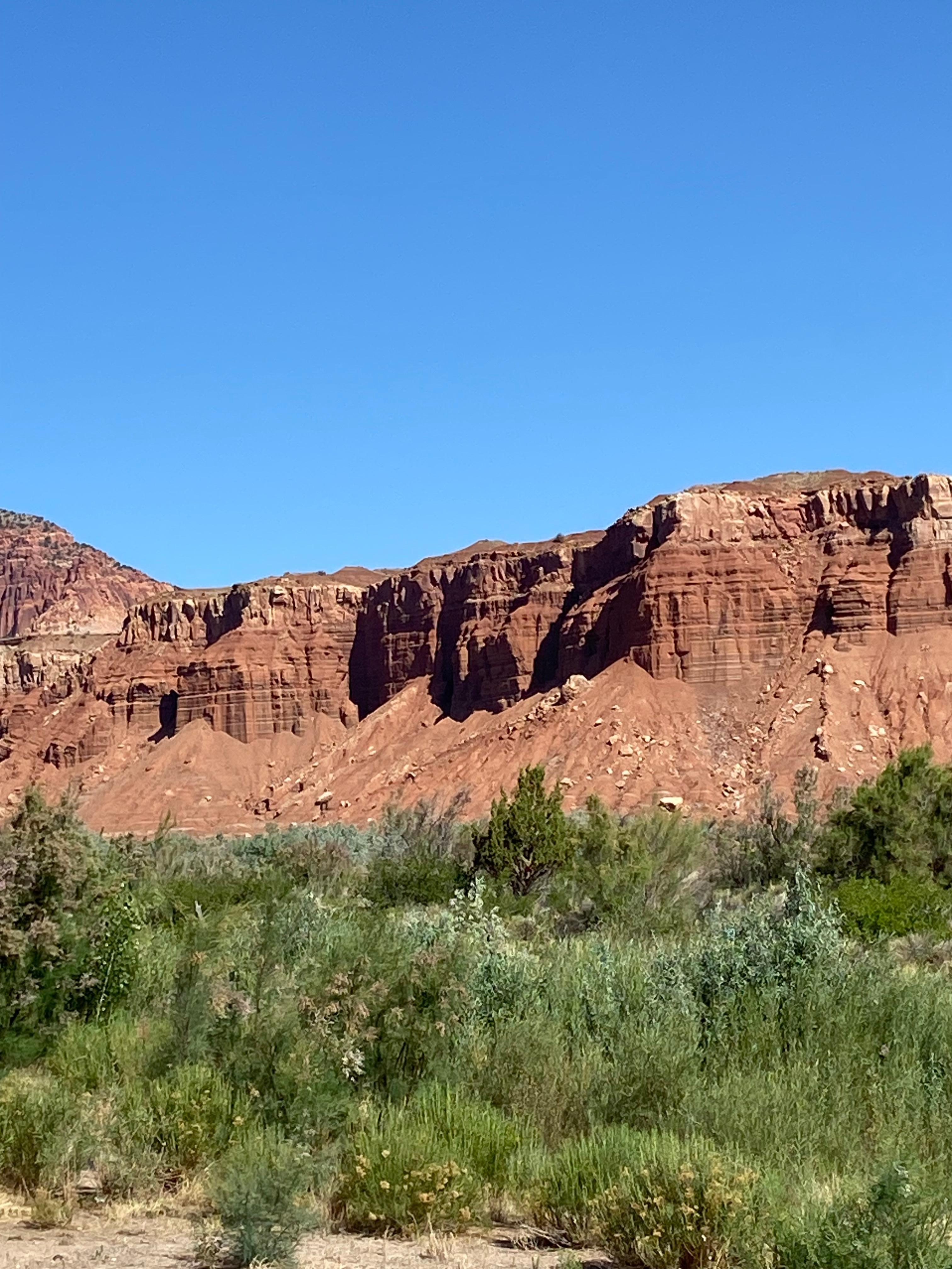 A view from our porch