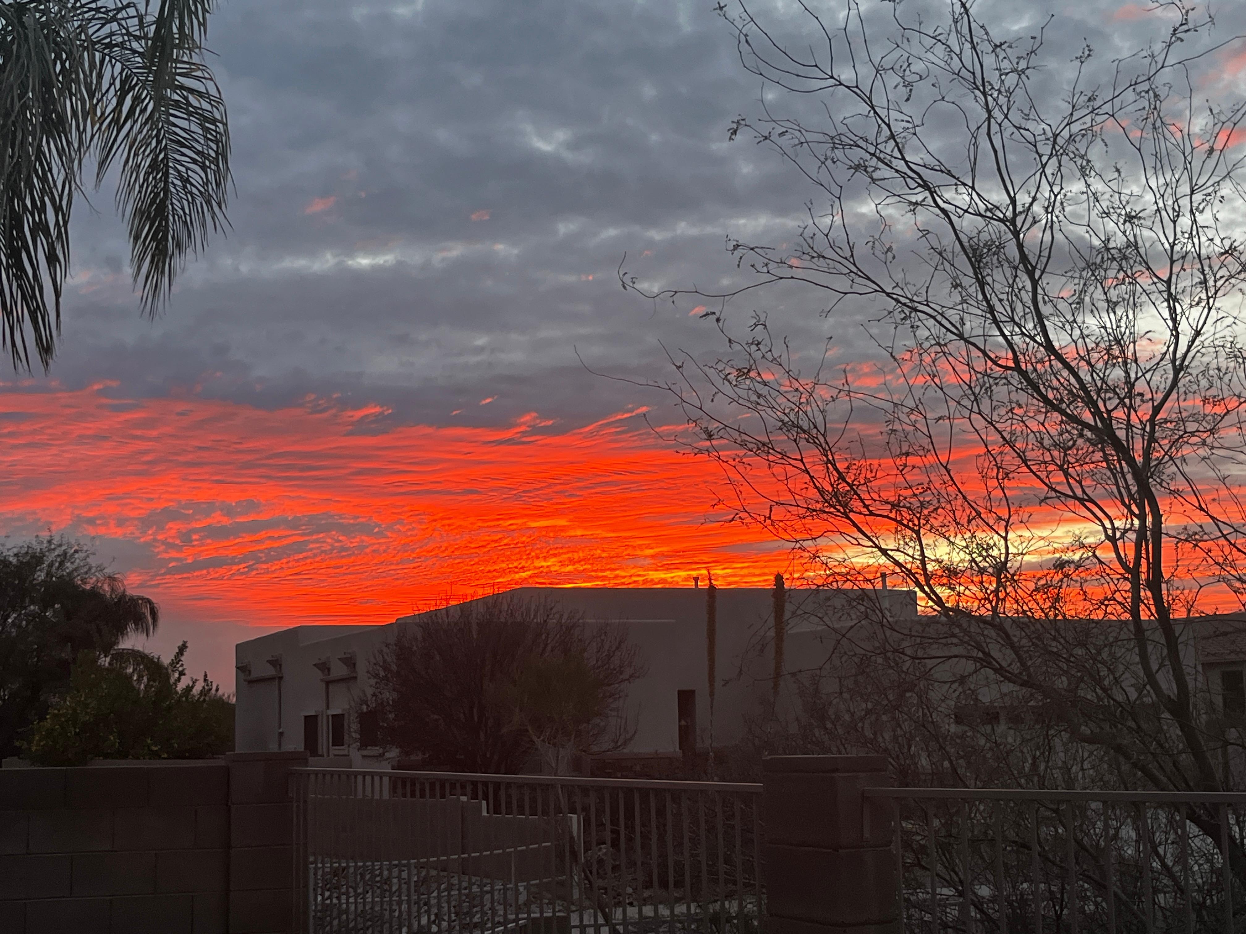 Sunset in the backyard 