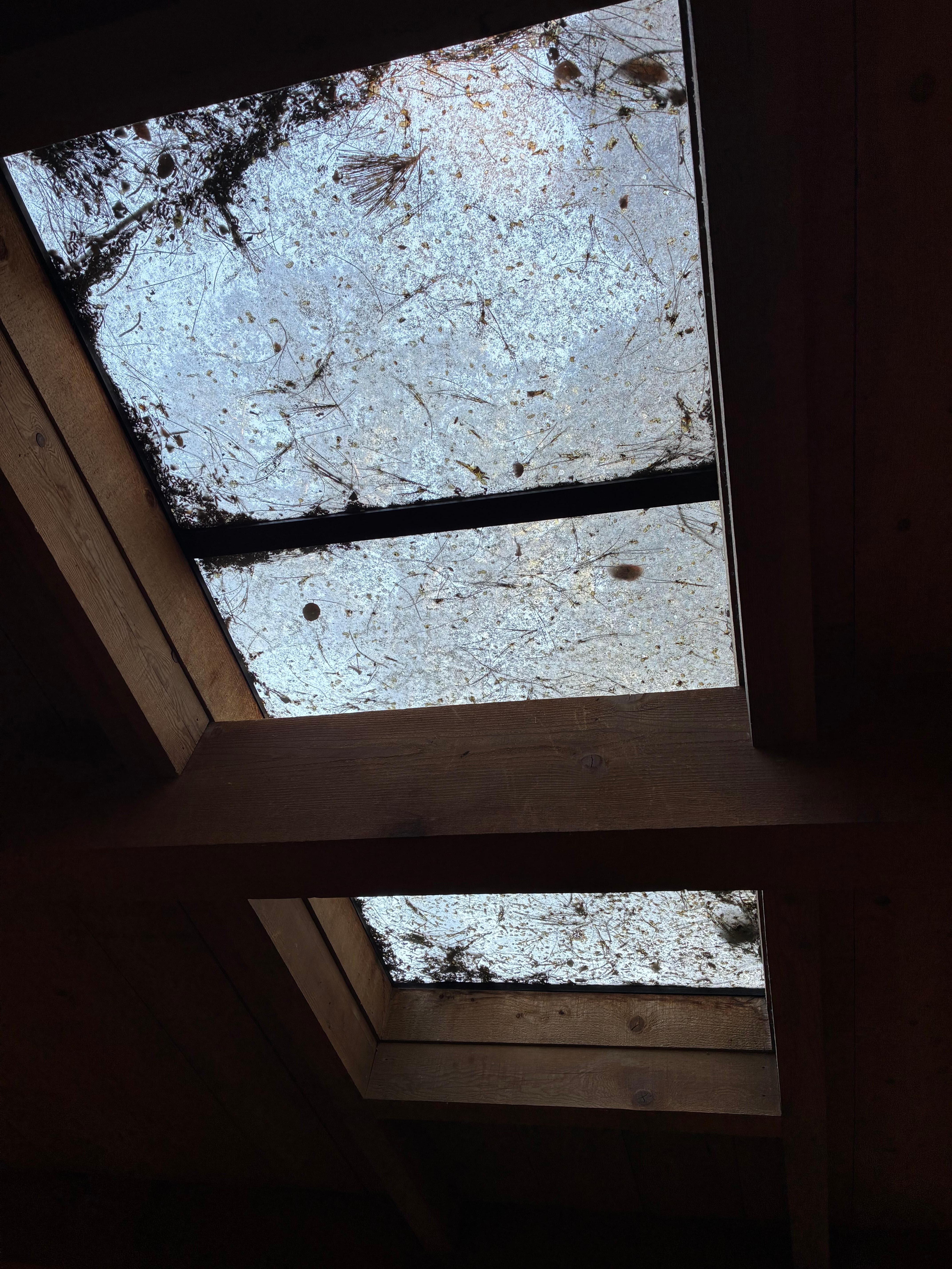 skylight with tons of crud
