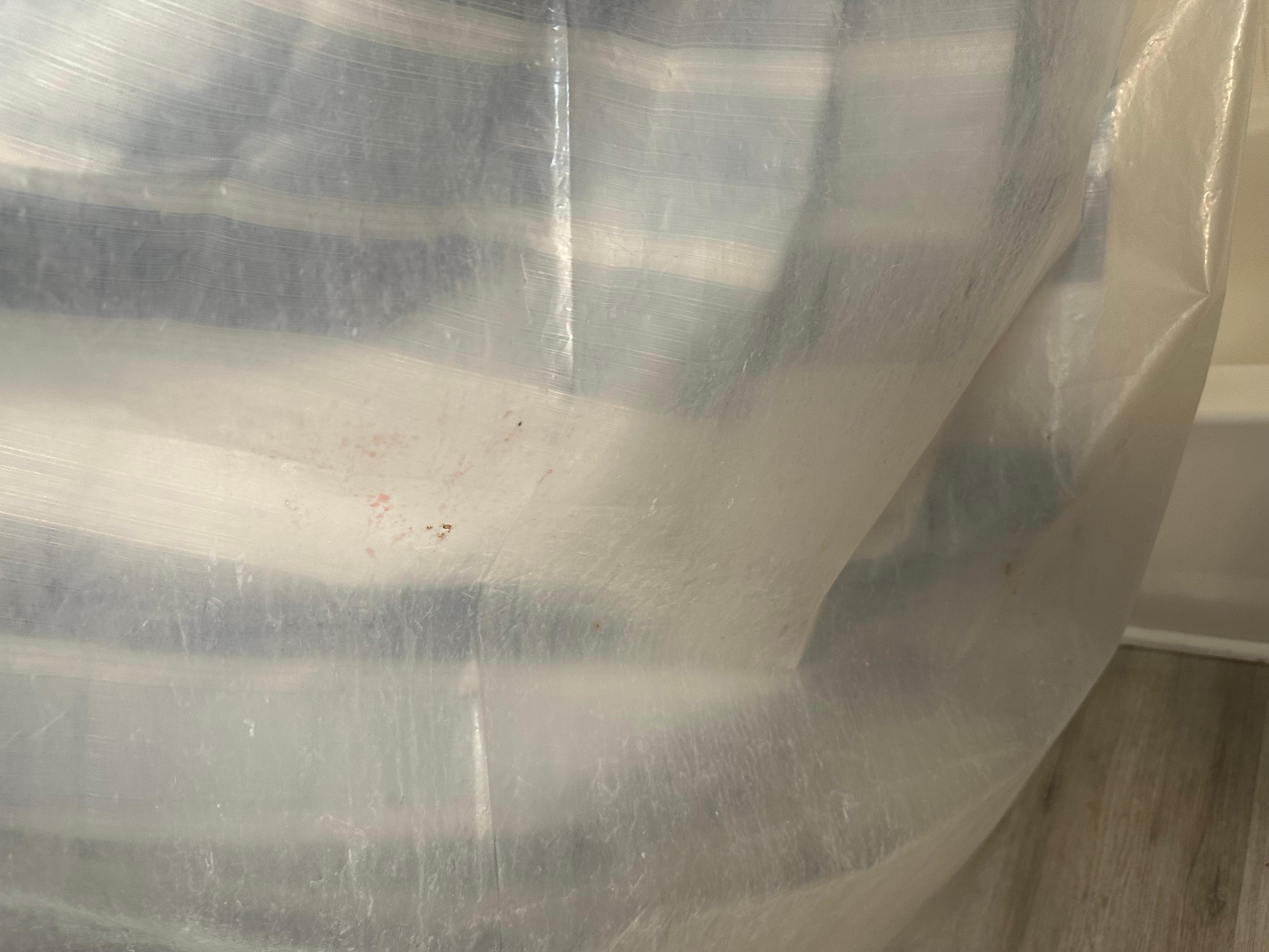 Filthy shower curtain 