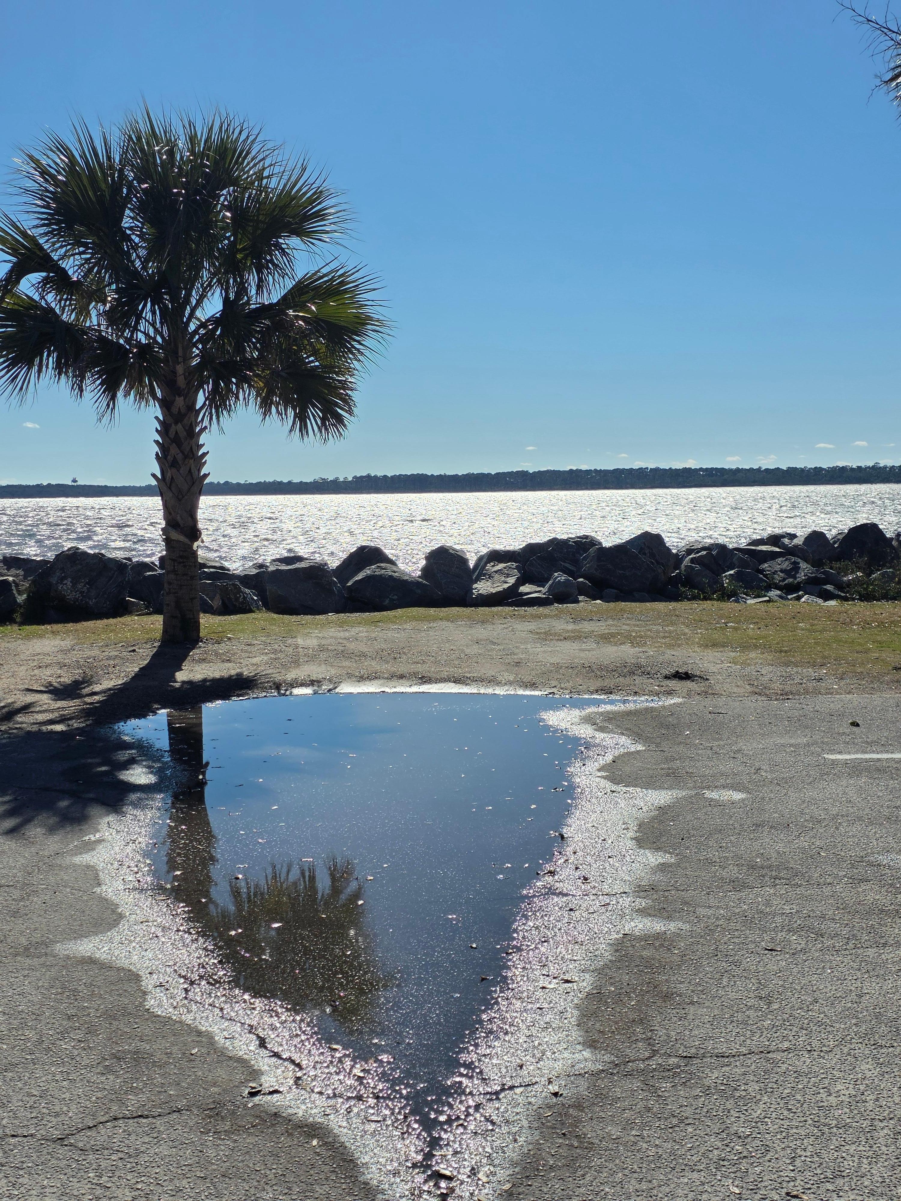 Simply Beautiful & breath taking...