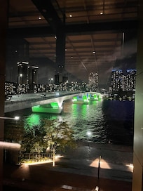 夜はライトアップが綺麗でした。向かいの橋やら高層ビルで。