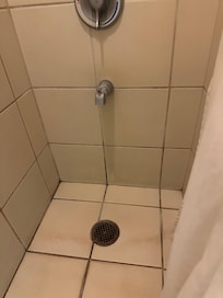 Grout is light in color; maybe a light grey or off white. It is now mostly stained black with dirt and what seems to be mold/mildew in patches