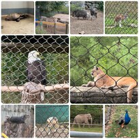 Dickerson Park Zoo