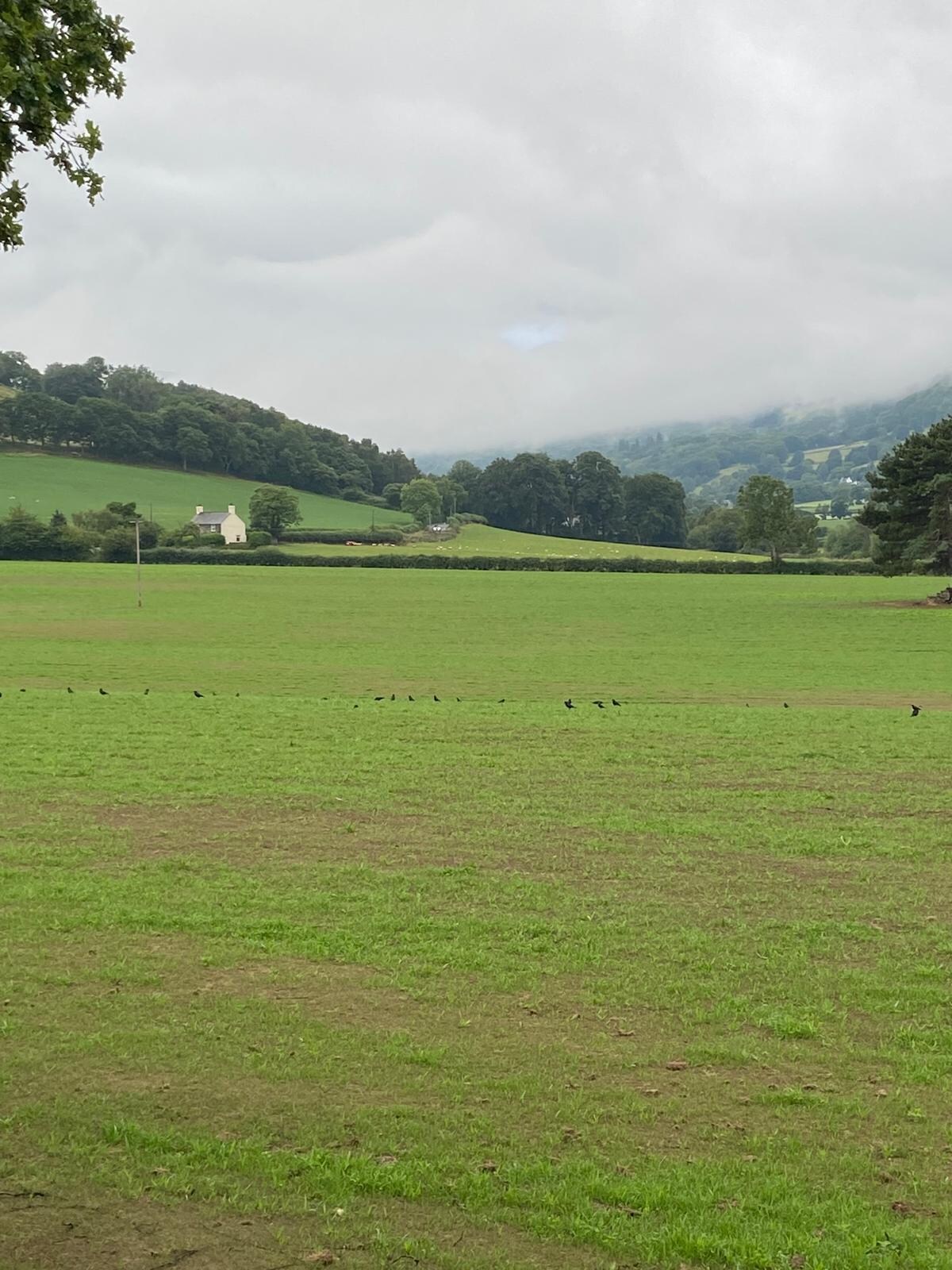 View from our room, room 8.