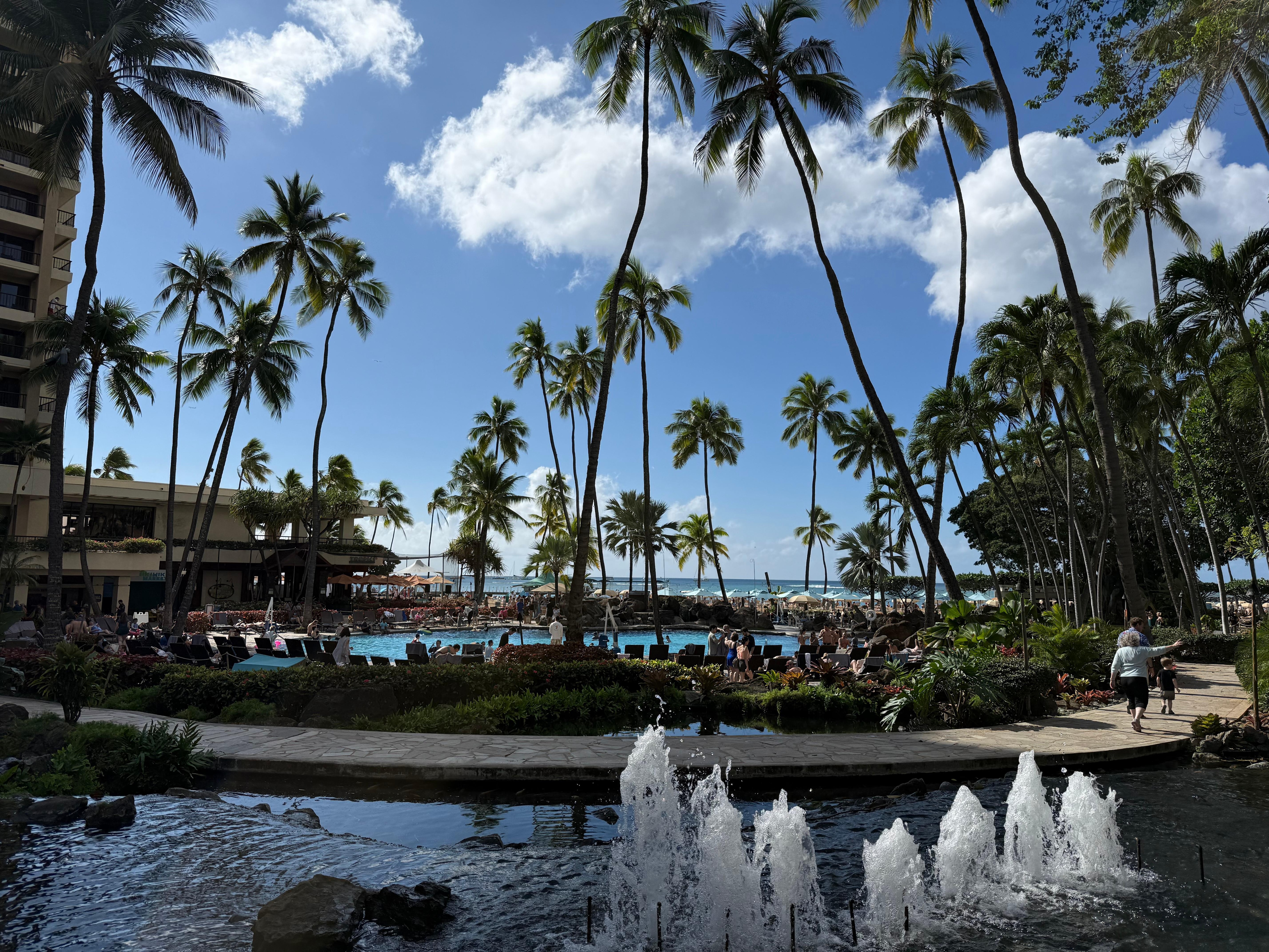 A view inside the villisge