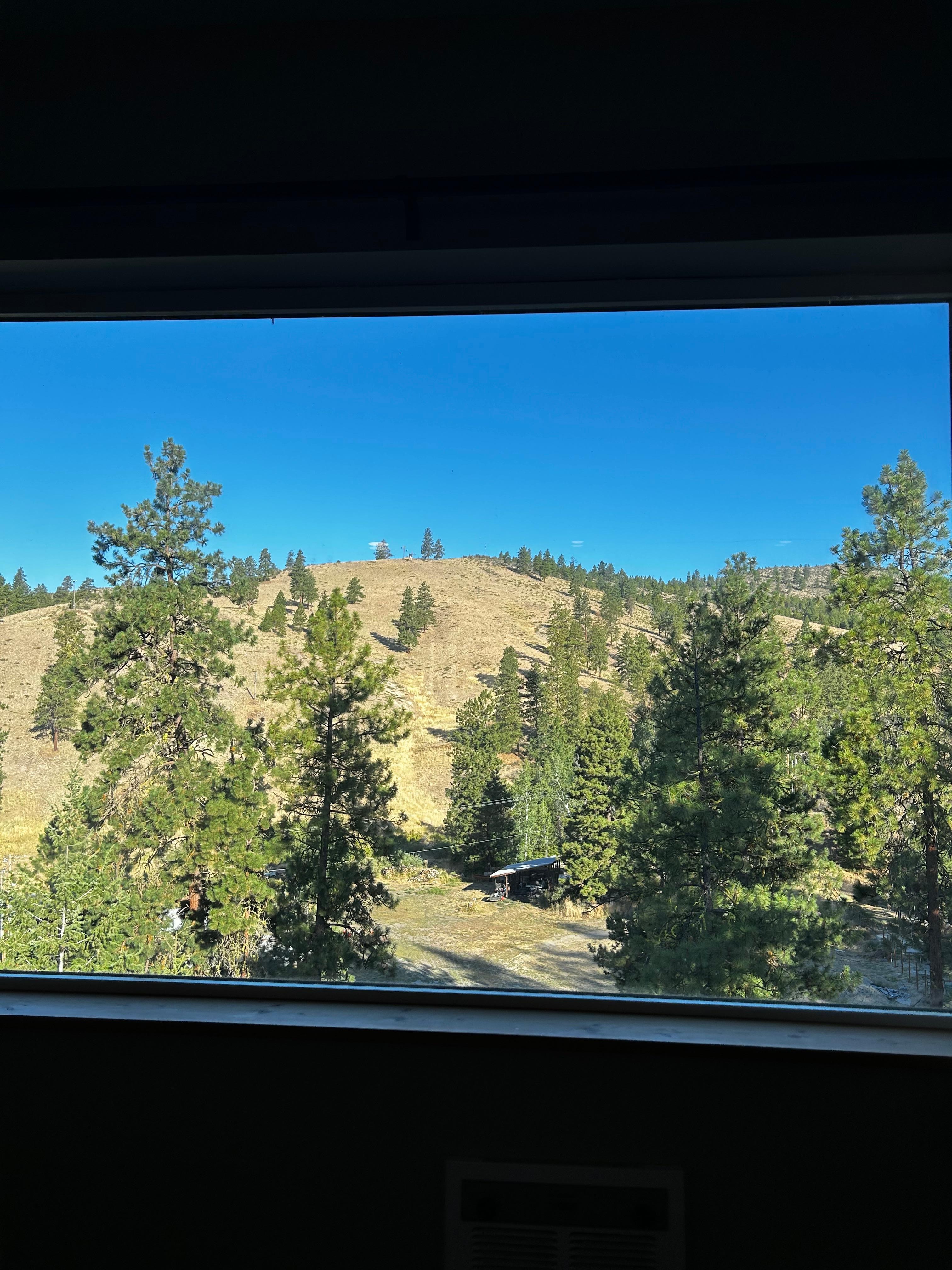 View from cabin window looks like a picture hanging :)