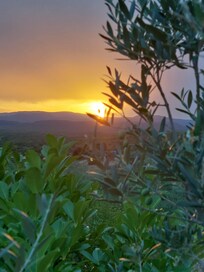 Des couchers de soleil sublimes