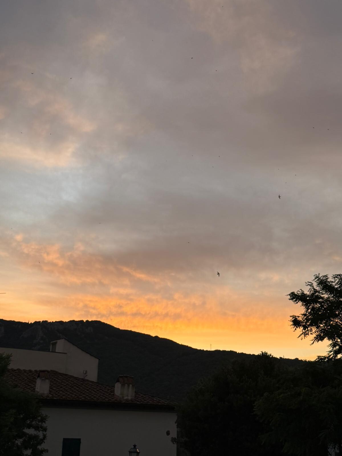 Coucher du soleil 