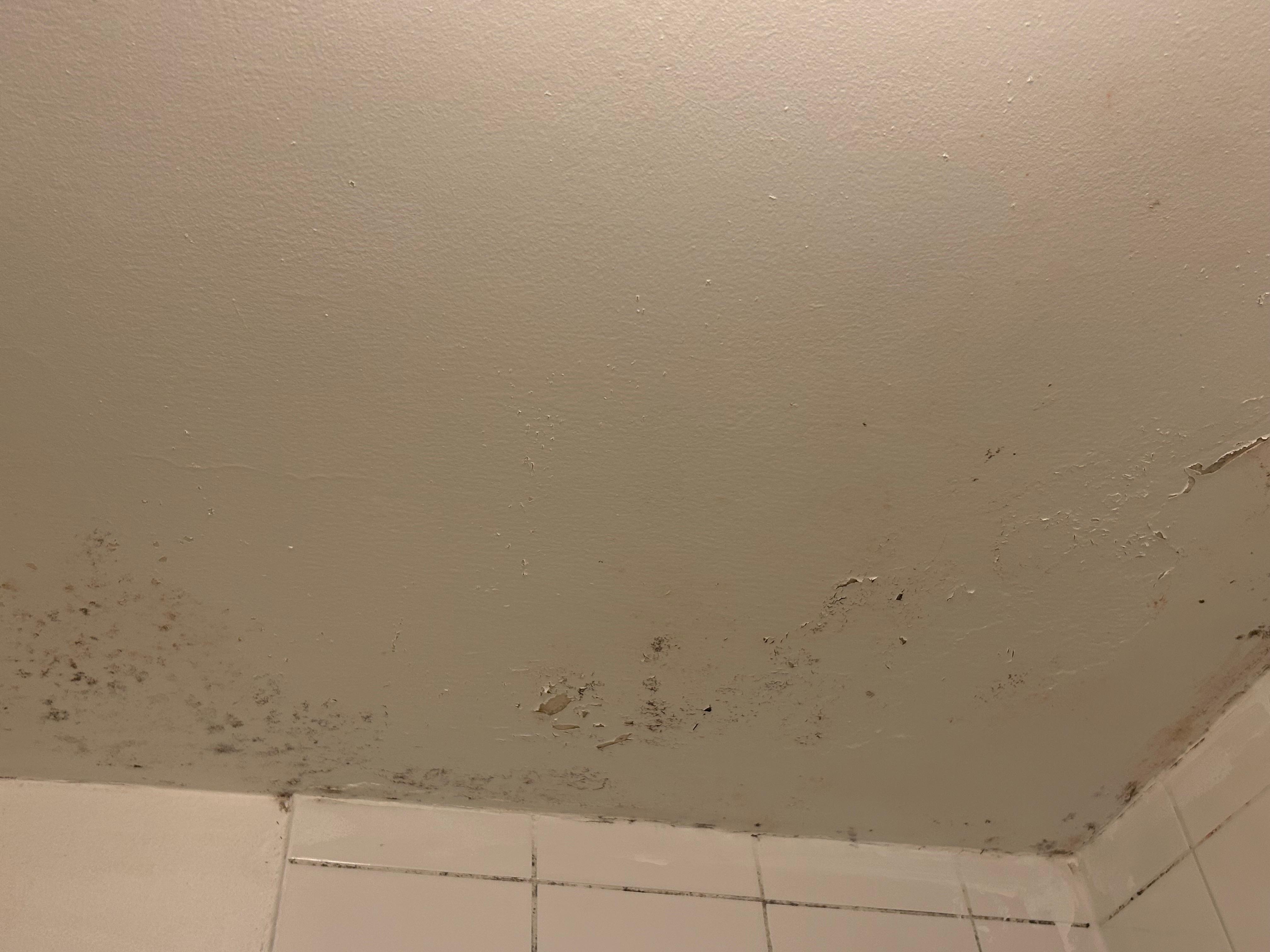 Mouldy bathroom