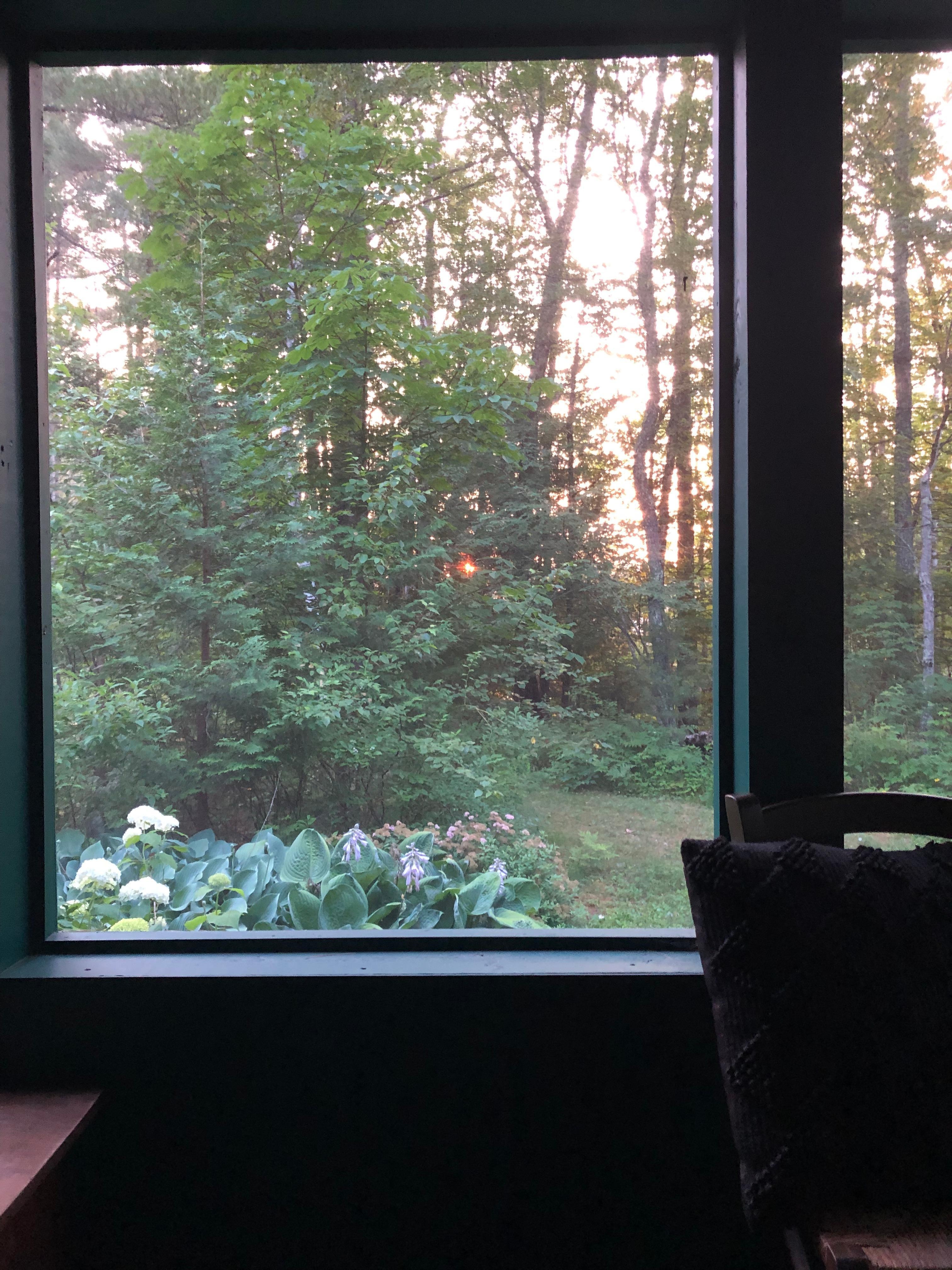 Morning view from futon bed - picture does not capture the beauty