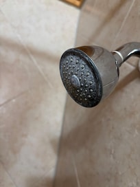 Dirty shower head in downstairs hallway bathroom